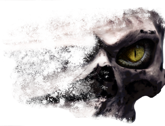 Czacha_skull_01