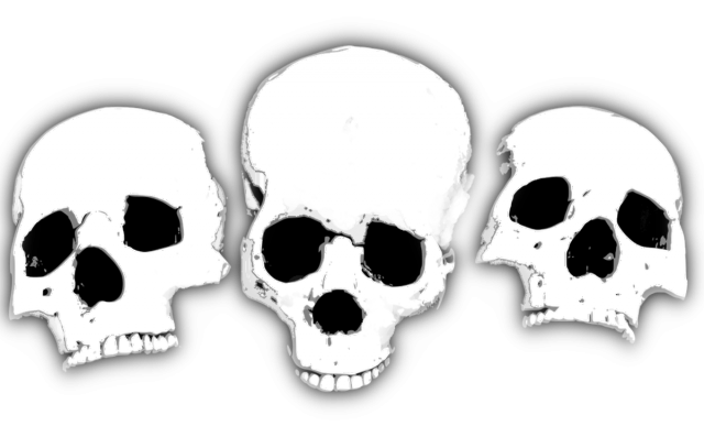 Czacha_skull_02