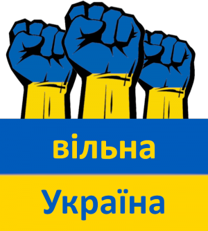 koszulka wolna ukraina po ukraiński flaga walka męska - nadruk