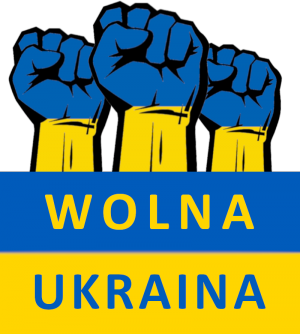 koszulka wolna ukraina flaga pięści walka męska - nadruk