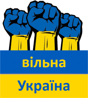 bluza unisex wolna ukraina po ukraiński flaga walka - nadruk