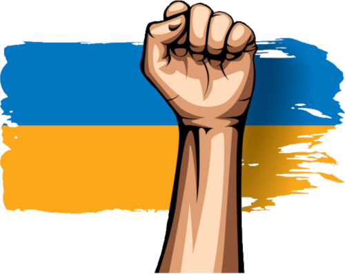 koszulka wolna ukraina flaga walka pięść męska