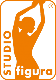 TORBA SFWG LOGO DUŻE