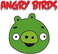 Bluza dziecięca Angry Birds z kapturem