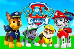 Koszulka - Paw Patrol.