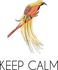 Bluza NeverFadeAway z egzotycznym ptakiem