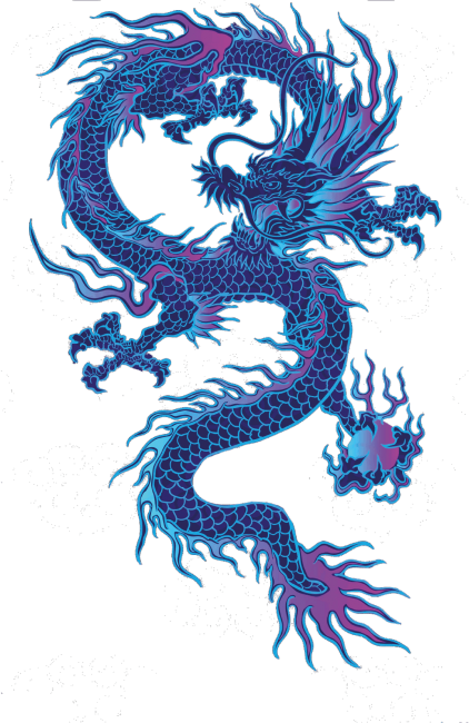 Koszulka NeverFadeAway - Dragon 2
