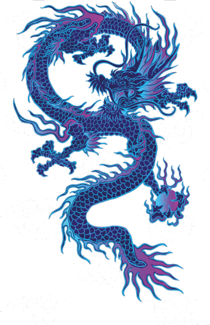 Koszulka ECO NeverFadeAway - Dragon 2