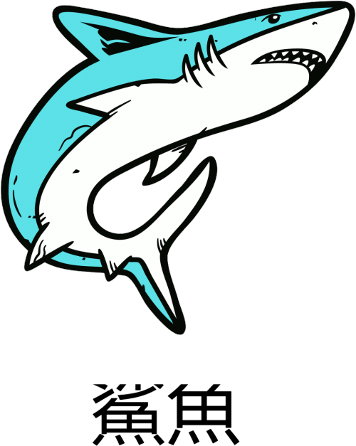 Bluza NeverFadeAway - SHARK3