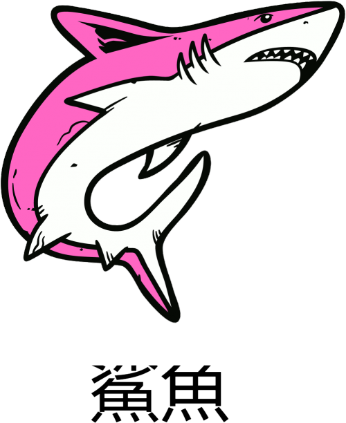 Bluza NeverFadeAway - SHARK5
