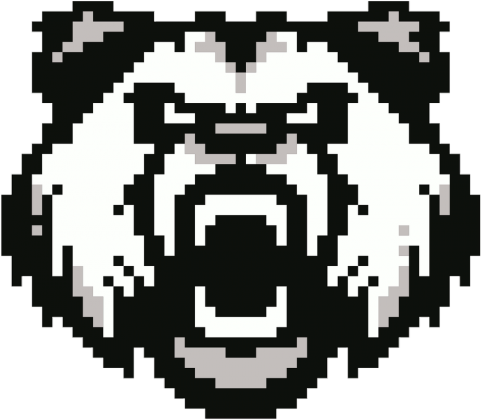 Bluza NeverFadeAway - PIXELS 5