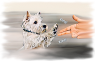 Kubek Westie Bang Bang  West Highland White Terrier