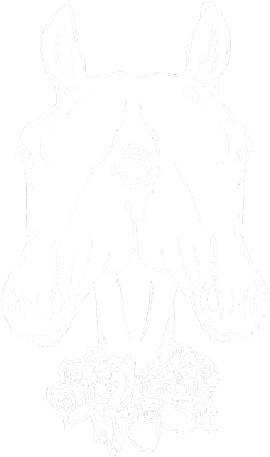 Koszulka- dwugłowy koń