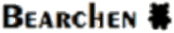 Bearchen logo damski