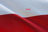 Flaga Polski koszulka męska FP