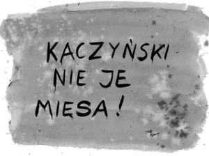 Kaczyński nie je mięsa - nadruk