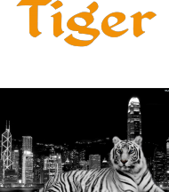 Koszulka Krótka z Tigerem
