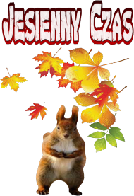 KOSZULKA DAMSKA ,,JESIENNY CZAS,,