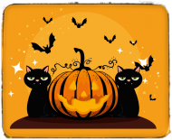 Dziewczynka- Halloween cats, czarne koty z dynią