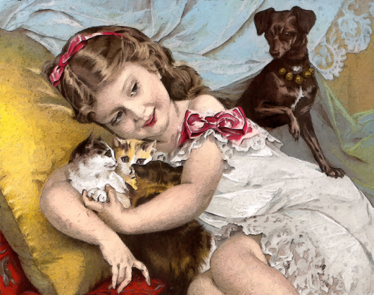 Dziewczynka z kotami i psem