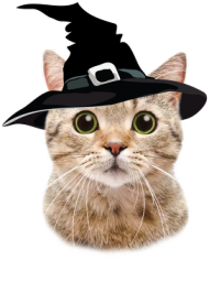 Bluza z kapturem rozpinana Kot Halloween w kapeluszu