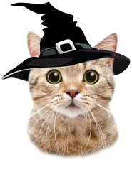 Magiczny Kubek Kot Halloween w kapeluszu