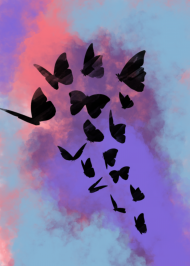 Plakat z motylami