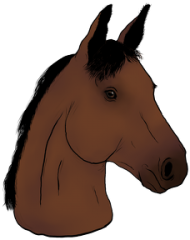 Kubek Your Horse- Gniady