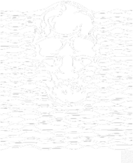 skull waves