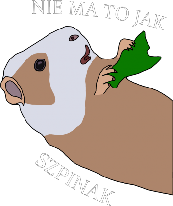 Torba "Nie ma to jak szpinak"