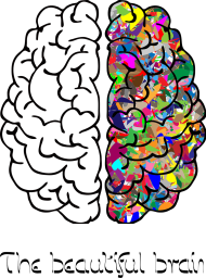 Koszulka damska *The beautiful brain