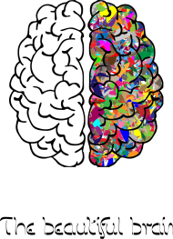 Bluza damska klasyczna *The beautiful brain