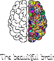 Koszulka męska *The beautiful brain