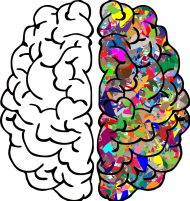 Torba na ramię *The beautiful brain