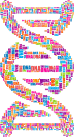 Bluza Męska z Kapturem *DNA Double Helix