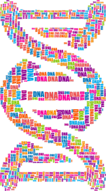 Bluza Damska Klasyczna *DNA Double Helix