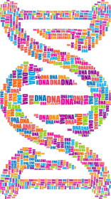 Bluza Męska Double Color *DNA Double Helix