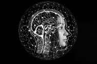 Koszulka męska *The beautiful mind