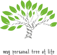 Bluza Męska z Kapturem *My personal tree of life