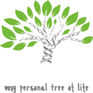 Bluza Męska Varsity Jacket *My personal tree of life