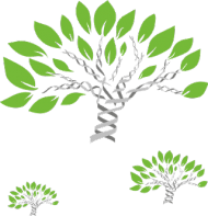 Kubek z kolorowym uszkiem *My personal tree of life
