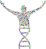 Bluza Męska Klasyczna *DNA