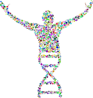 Bluza Męska Rozpiana z Kapturem *DNA