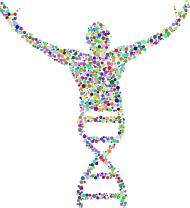 Męska Koszulka z Długim Rękawem *DNA