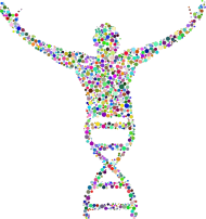 Body Niemowlęce *DNA