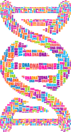 Koszulka Damska *DNA Double Helix