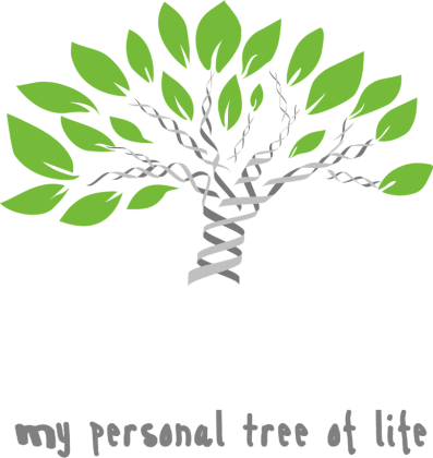 Męska Koszulka z Długim Rękawem *My personal tree of life