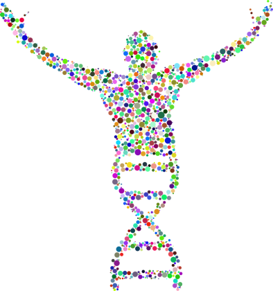 Bluza Damska Klasyczna *DNA