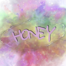 Koszulka męska HONEY