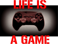 Life is a game biała